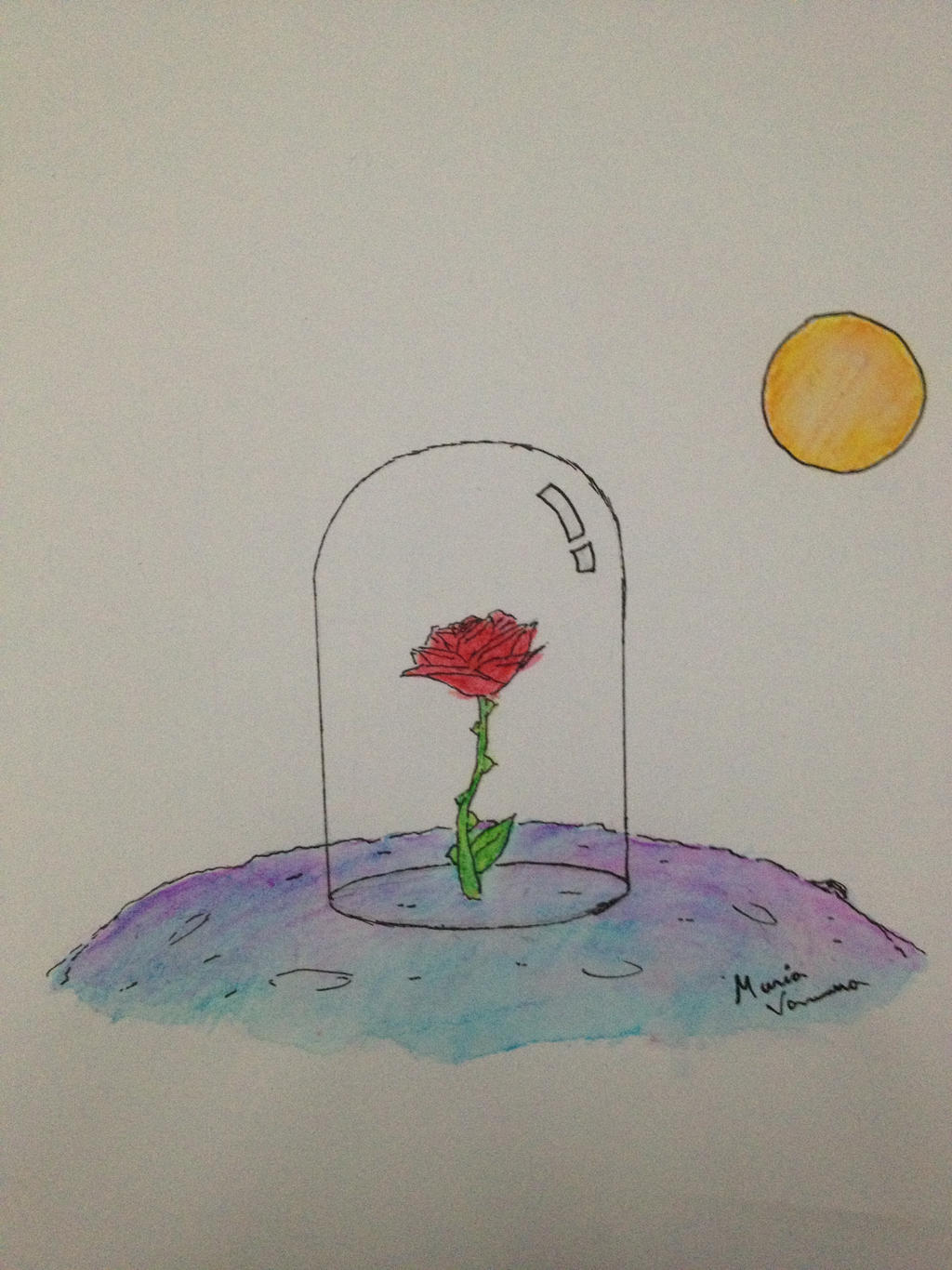 The Little Prince's Rose